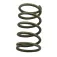 Minn kota Släpp Pin Spring