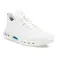 Ecco Biom C4 GORE-TEX® golfsko