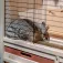 Ferplast Ranch 100 Basic Cage Rabbits