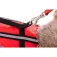 Plastimo Logo Pet life jacket