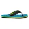 Reef Ahi flip flops