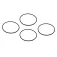 Inmarsat O-ring Hugues 9202