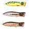 SPRO Popper Iris Pop 4.8g 55 mm
