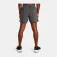 Under armour Short Launch 5in