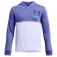Under armour Rival Terry kapuzenpullover
