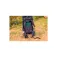 Gregory Stout 70 EU rucksack