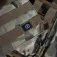 Pentagon Colete Milon Plate