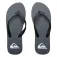 Quiksilver Molokai Core flip flops