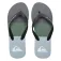 Quiksilver Molokai flip flops