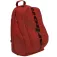 Varlion Ambassadors rucksack