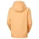 Helly hansen Logo 2.0 kapuzenpullover