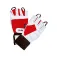 Amix Trainingshandschoenen