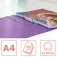 Esselte Colour´Breeze 2 Ringbuch 25 mm