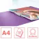 Esselte Colour´Breeze PP 2 Ringperm 25 mm