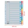 Esselte Multiperforerede A4 1-6 indeksdelere 200g