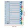Esselte Separadors d´índex A4 multiperforats STD