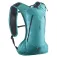 Salomon Cross 4L backpack