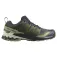 Salomon Xa Pro 3D V9 trail running shoes