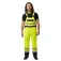 Mascot Safe Image 07092 overall