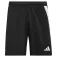 adidas Fortore 23 shorts