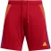 adidas Tiro24 shorts