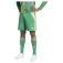 adidas Tiro24 shorts