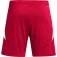 adidas Tiro24 shorts