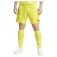 adidas Tiro24 shorts