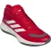 adidas Bounce Legends basketball shoes