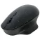 Targus AMB586GL ergonomic mouse