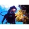 Ocean reef Visor Light Vasper Ansiktsmask