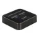 Delock Docking station 64177 2xM.2