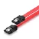 Ewent EC1510 0.3 m SATA Cable