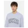 Dickies Moletom Aitkin