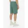 Dickies Pantaloni corti Mapleton