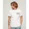 Superdry Athletic College Graphic short sleeve T-shirt