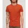 Superdry Vintage Logo Embroidered short sleeve T-shirt