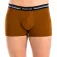 Abanderado Boxers Advanced