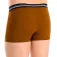 Abanderado Boxers Advanced