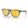 Oakley Frogskins Range polarized sunglasses