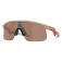 Oakley Resistor aurinkolasit