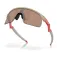 Oakley Resistor solbriller