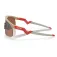 Oakley Resistor solbriller