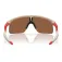 Oakley Resistor solbriller