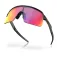 Oakley Sutro Lite aurinkolasit