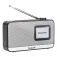 Panasonic RF-D15EG-K Digitalradio