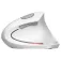 Trust 25132 Wireless Ergonomic Mouse