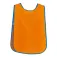 Arditex Pitet Dragon Ball PVC
