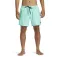 Quiksilver Solid 15´´ uimashortsit