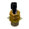 Fischer panda Temperatursensor M14x1.5 SW17